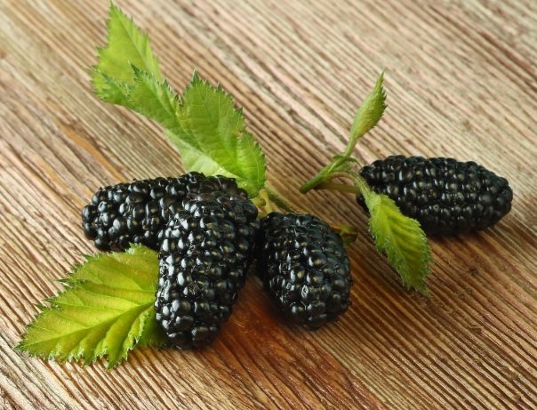 天然喉嚨痛緩解