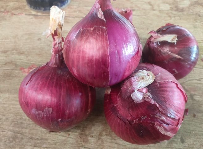 洋蔥儲存秘訣
