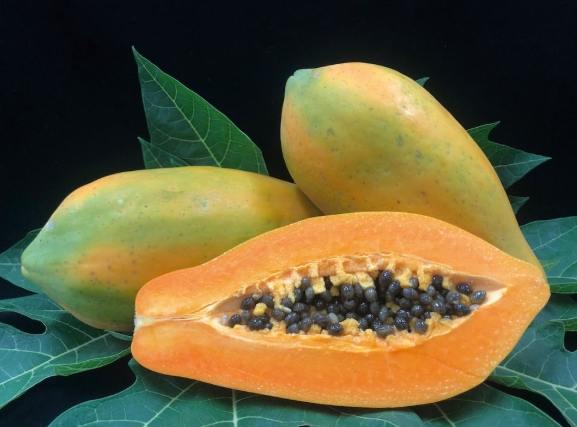 洗腎飲食木瓜 洗腎飲食木瓜