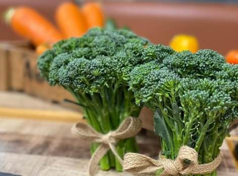 西蘭花 嘌呤 西蘭花 嘌呤