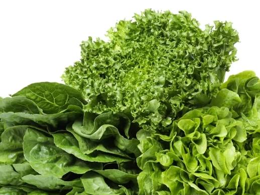 生食蔬菜好處 生食蔬菜好處