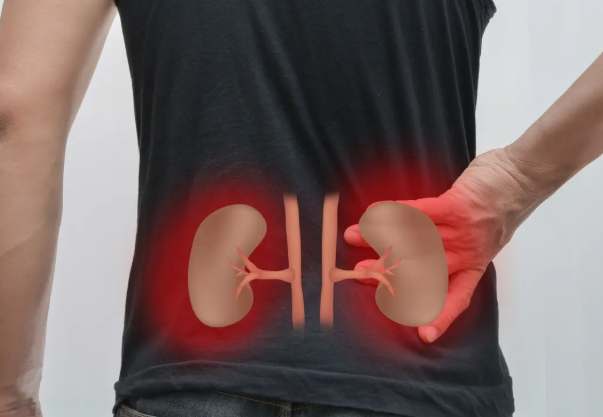 腎臟保健飲食 腎臟保健飲食