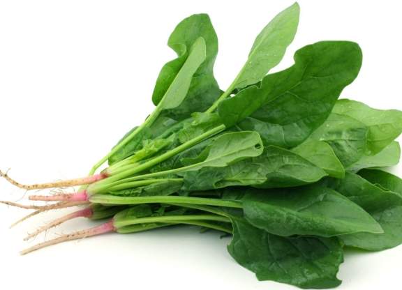 綠色蔬菜營養價值