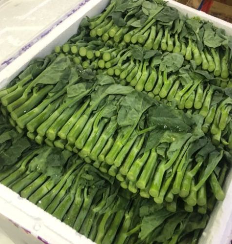 芥蘭菜健康好處