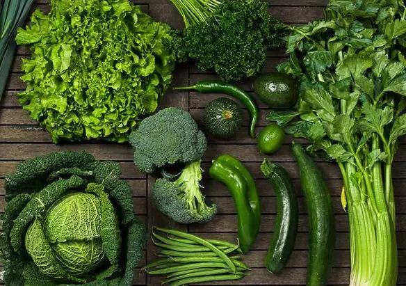 為什麼要吃蔬菜