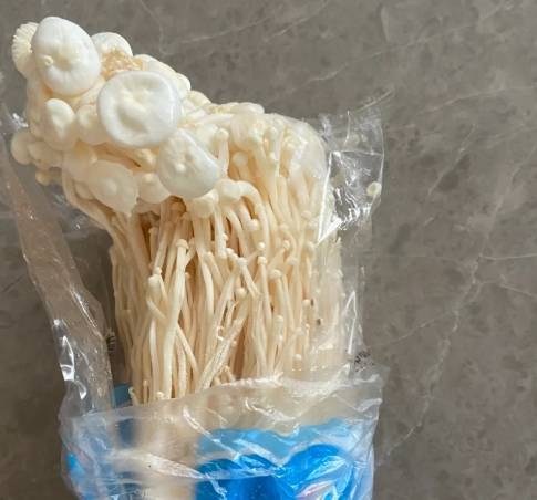 金針菇冷藏期限 金針菇冷藏期限