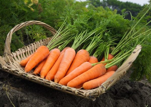 生菜沙拉食譜 生菜沙拉食譜