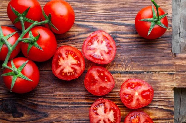 番茄植物學類別