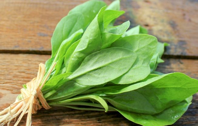 高鉀蔬菜 高鉀蔬菜