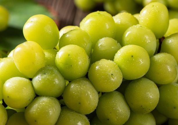 提子纖維食用方法