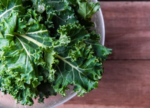 台灣綠色蔬菜推薦