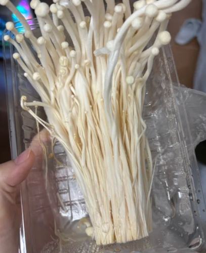 金針菇冷藏期限 金針菇冷藏期限