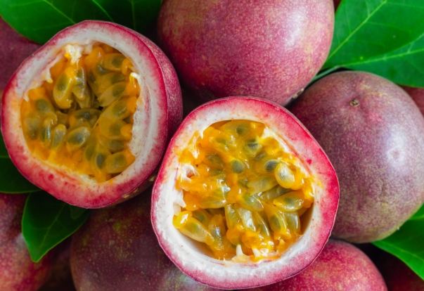 百香果什麼時候吃