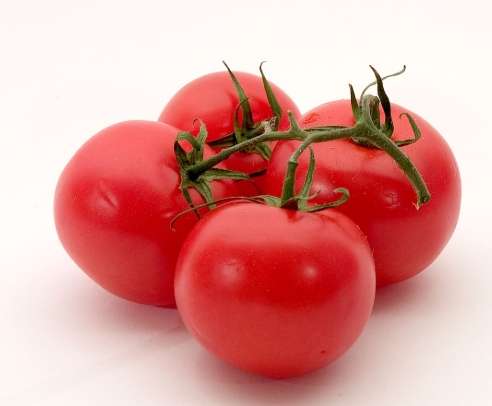 慢性腎臟病飲食禁忌