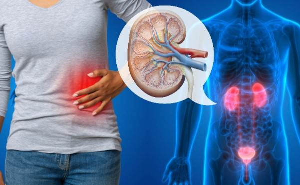 腎功能恢復 腎功能恢復