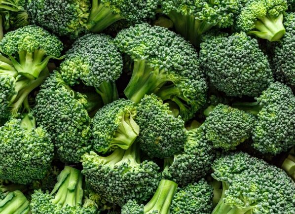 痛風 西蘭花 痛風 西蘭花