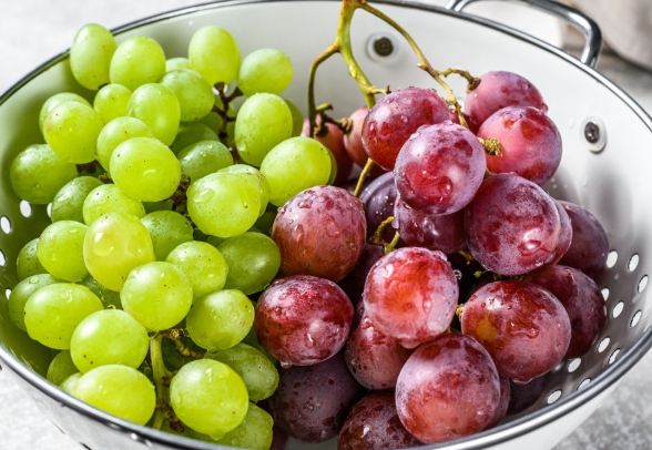 提子纖維副作用