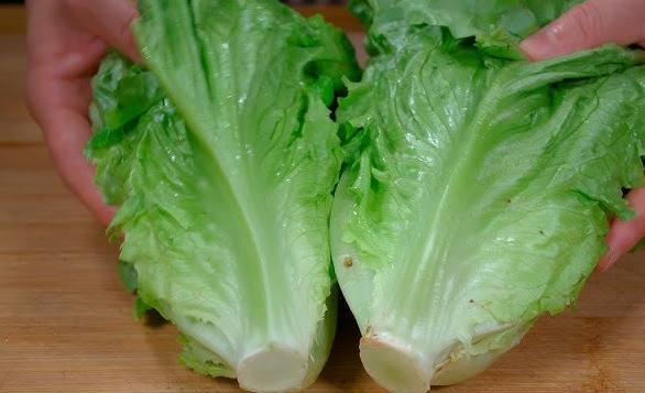 生菜沙拉食譜 生菜沙拉食譜