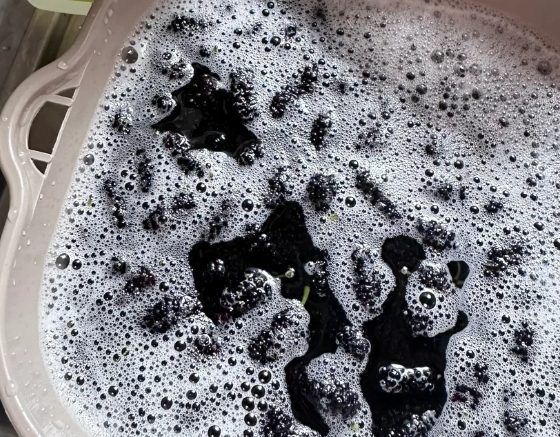 水果清潔小蘇打