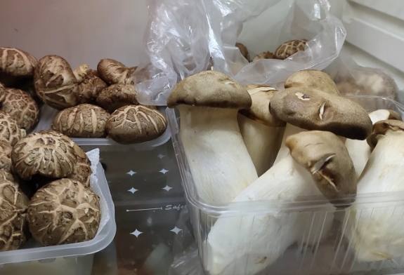 杏鮑菇保存方法