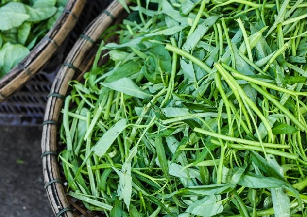 如何避免空心菜脹氣