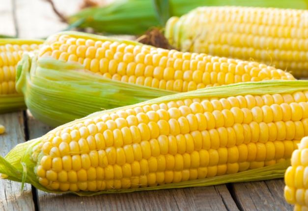 玉米烹飪方式