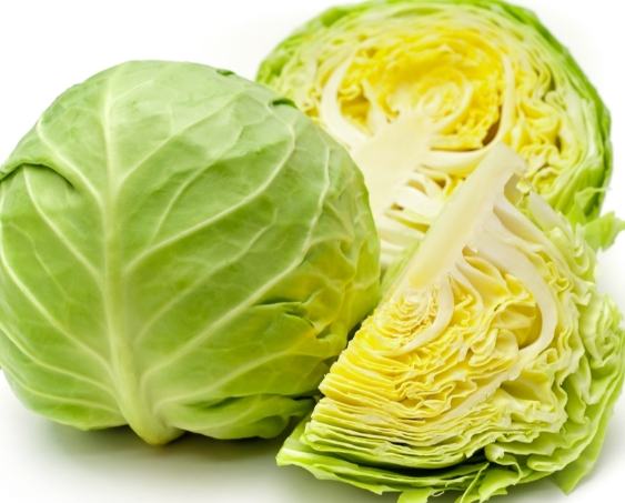 美生菜高麗菜比較 美生菜高麗菜比較