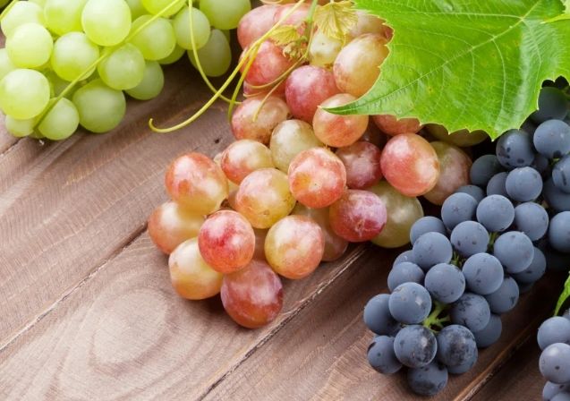 提子纖維副作用