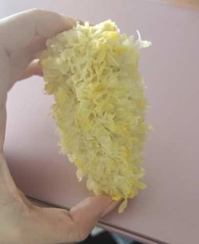 有機農業防蟲 有機農業防蟲