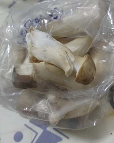 菇類常溫存放