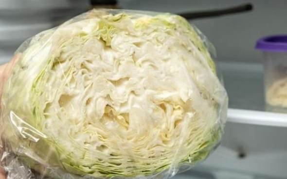 冷凍高麗菜保存 冷凍高麗菜保存