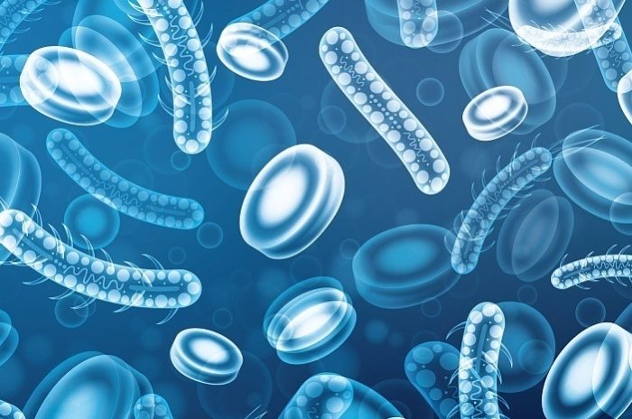 益生菌對胃的好處