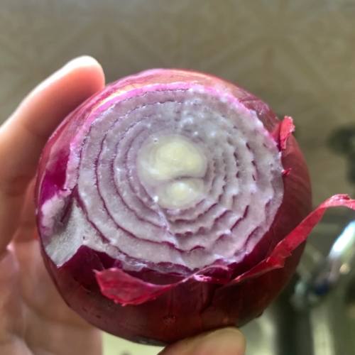 洋蔥出水原因