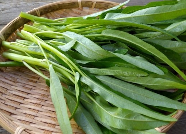 如何避免空心菜脹氣