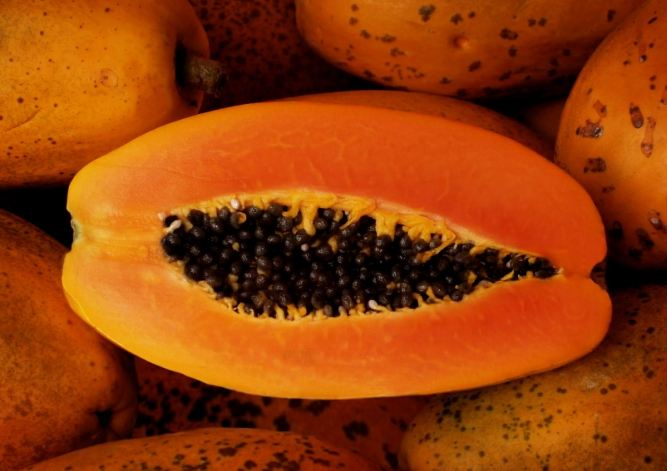 洗腎飲食木瓜 洗腎飲食木瓜