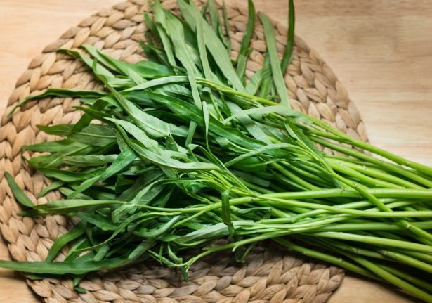 如何避免空心菜脹氣