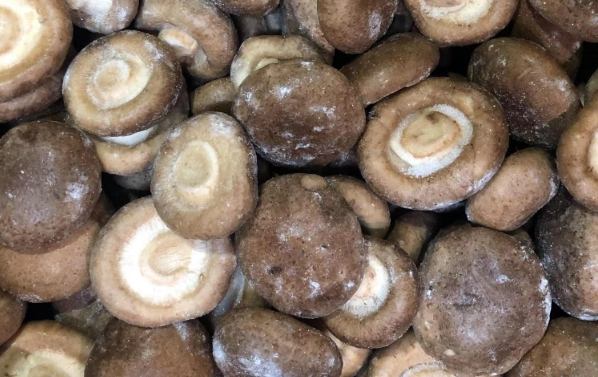 蘑菇不能吃判斷