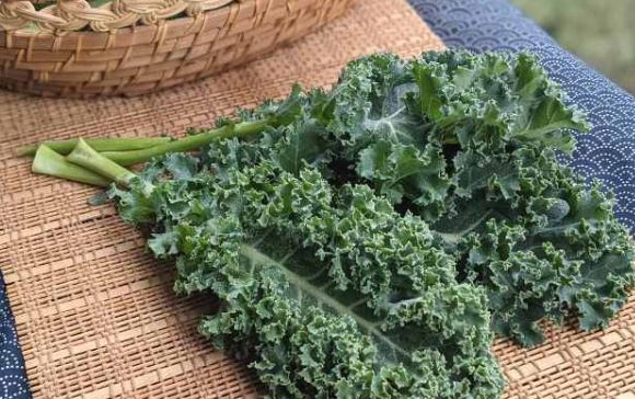 生食蔬菜好處 生食蔬菜好處