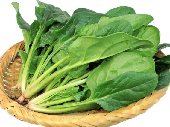 為什麼要吃蔬菜