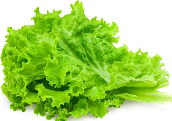 生菜沙拉食材 生菜沙拉食材