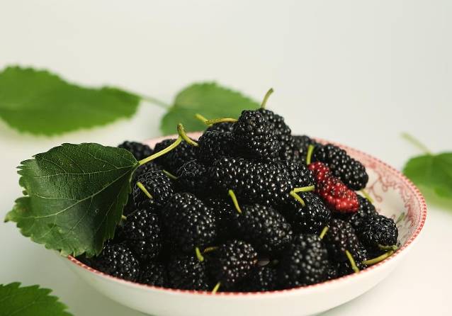 高白藜蘆醇水果