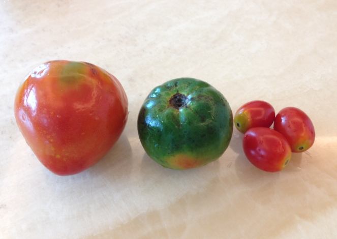 小番茄營養價值 小番茄營養價值