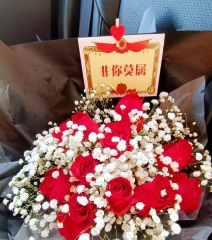 代表友誼的花 代表友誼的花