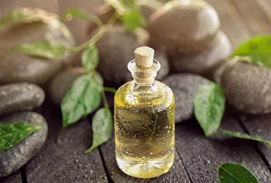 茶樹精油薰香方法 茶樹精油薰香方法