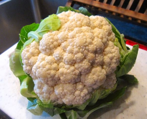 白花椰菜營養 白花椰菜營養