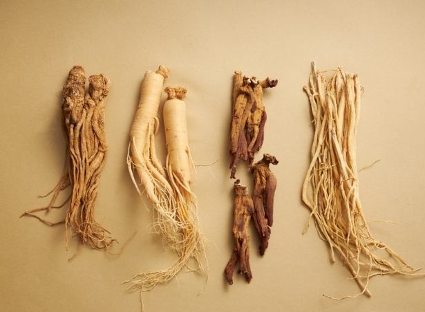 人蔘什麼時候吃 人蔘什麼時候吃