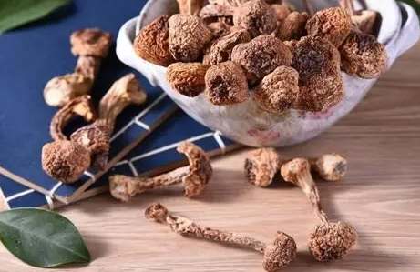 舞茸湯做法 舞茸湯做法