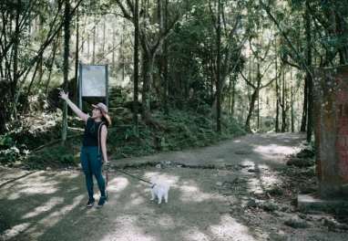 雞籠山大凍山登山 雞籠山大凍山登山