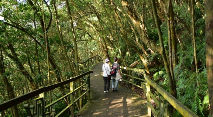 溪頭環狀步道交通