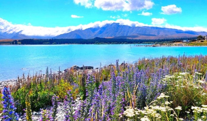 南島7天行程 南島7天行程